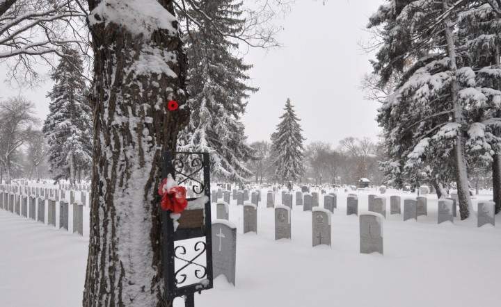 Ian Robertson took the November 11 Your Saskatchewan photo of the day in Saskatoon.
