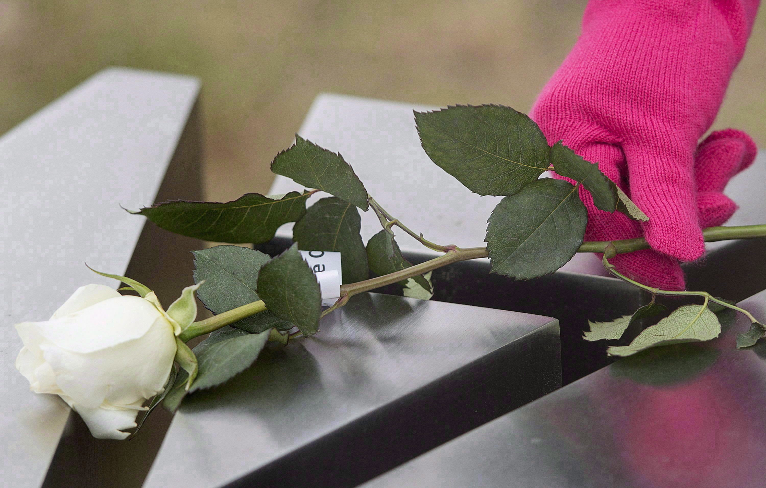 A woman places a rose on a memorial of one of the 14 women murdered at École Polytechnique on Dec. 6, 1989, during a ceremony to mark the 26th anniversary of the massacre in Montreal on Sunday, Dec. 6, 2015. 