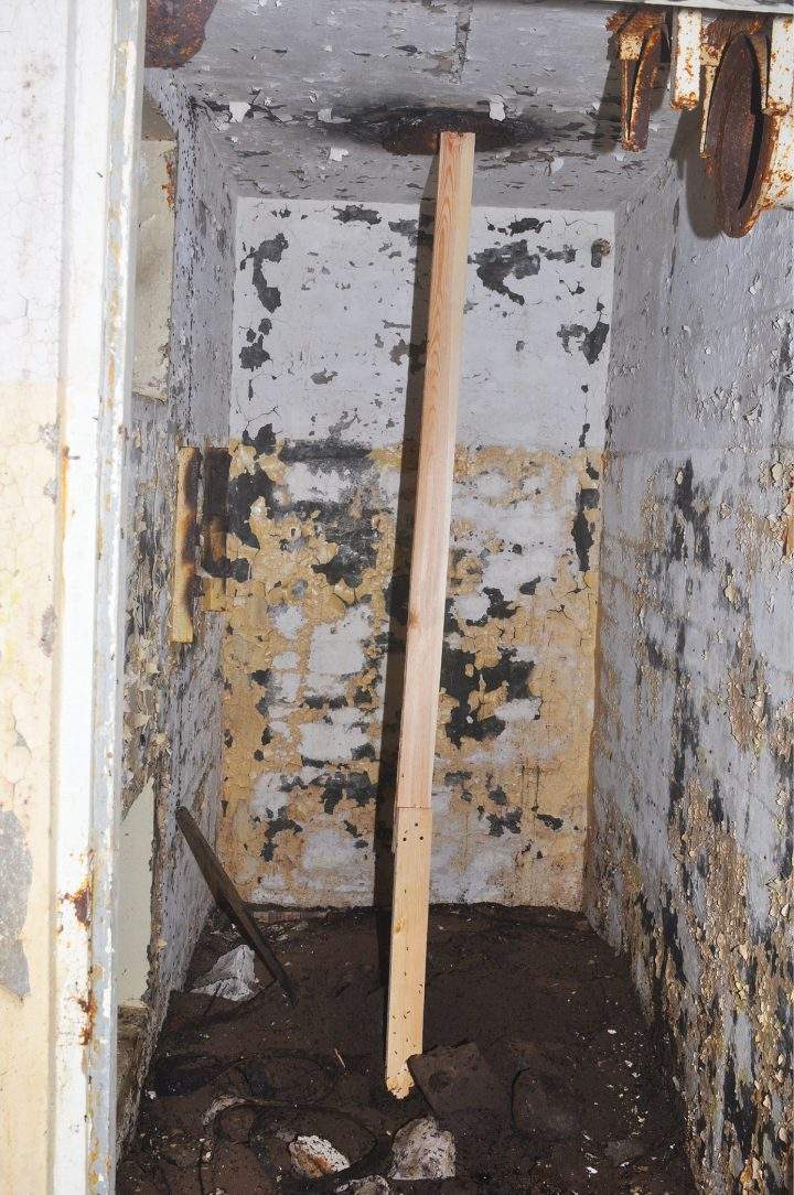 Researchers constructed this bridge for fallen ants to escape a bunker, in this photo taken on Sept. 18, 2016.