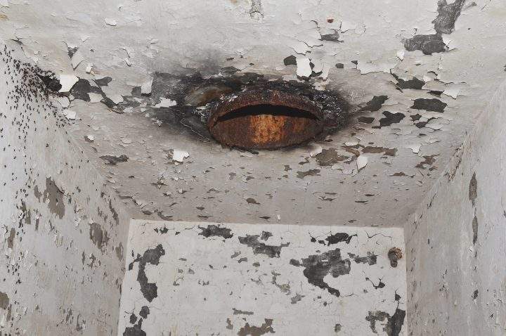 Millions of ants fell down this pipe and could not return to their colony. They could crawl up the walls but they couldn’t re-enter the pipe.