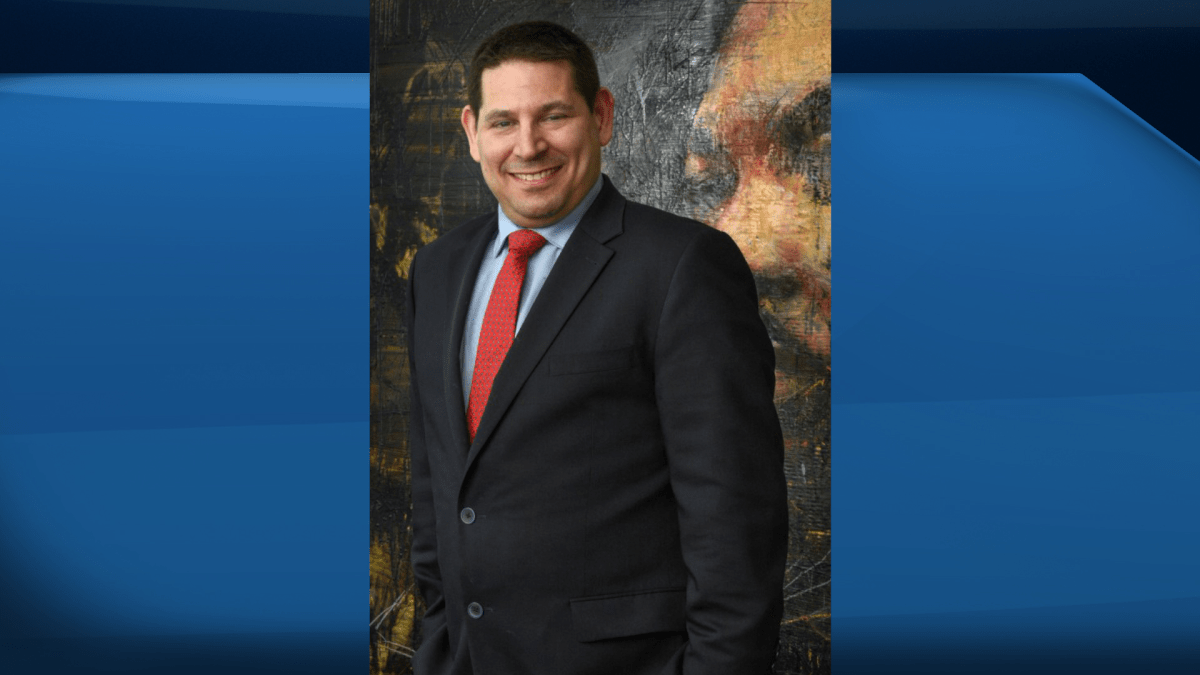 Toronto lawyer Scott Bergman has been tasked with conducting a review of how police responded to violence at Hamilton Pride celebrations in June.