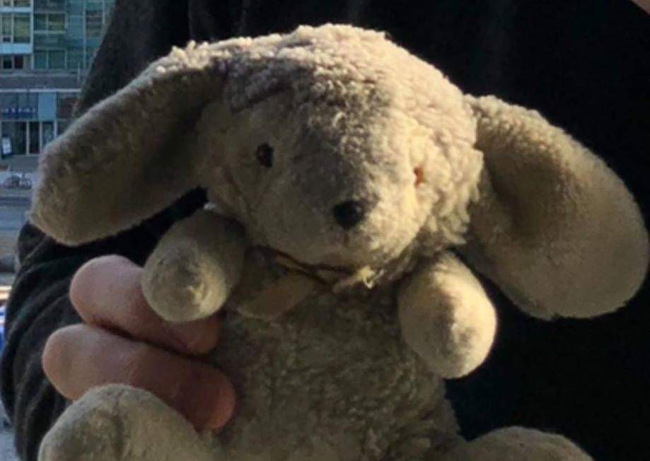 A toy bunny with a rich family history is still missing after being sucked out of a vintage warplane in the Hamilton area.