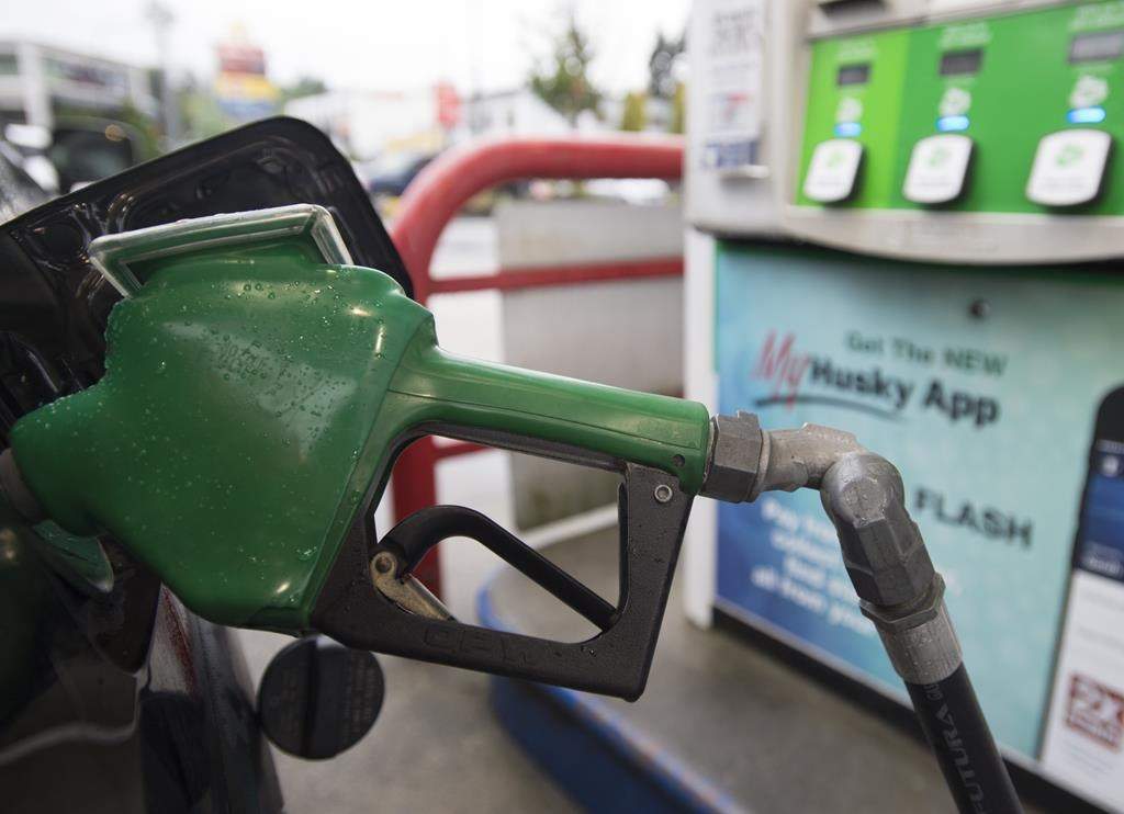 GasBuddy says it pays to shop around as gas prices can vary as much as 20 cents per litre in the same neighbourhood.