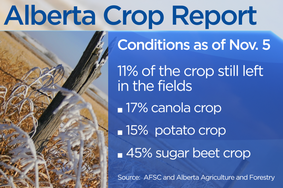 ‘Harvest from hell’: Alberta farmers demanding action from government - image