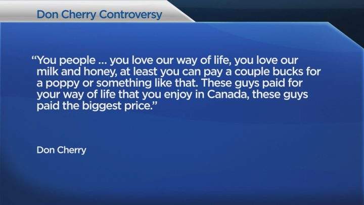 Don Cherry is facing backlash over comments made during a Hockey Night In Canada broadcast on Nov. 9.