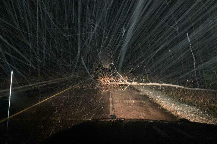 The first overnight winter storm of the season caused a number of power outages across Simcoe County and Muskoka.