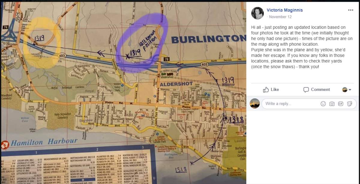 Lost and found Burlington post from Victoria Maginnis on Facebook four days after ‘Bunny’s” disappearance on Nov. 12.
