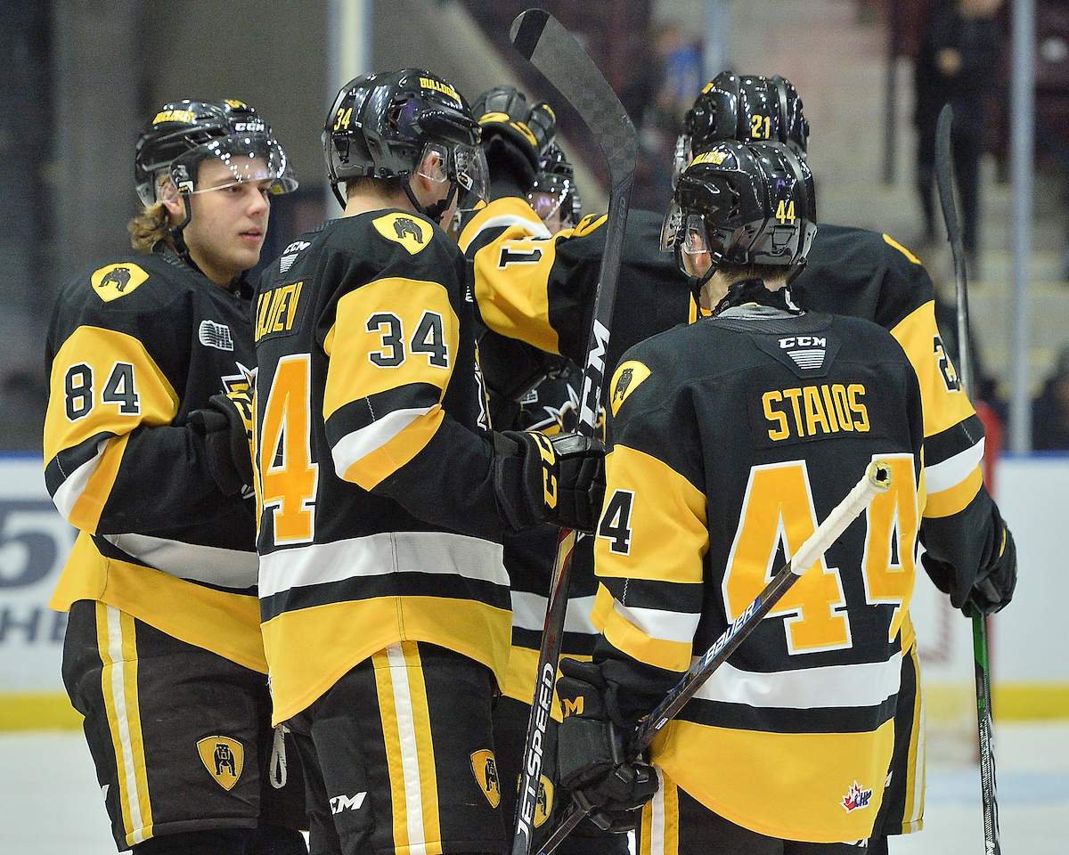 Hamilton Bulldogs.