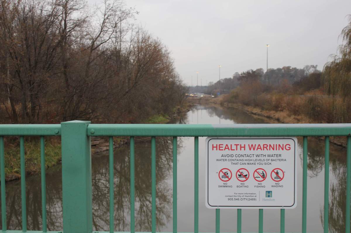 The City of Hamilton's general manager of public works says he's been working with the province to remediate Chedoke Creek after a large sewage spill.