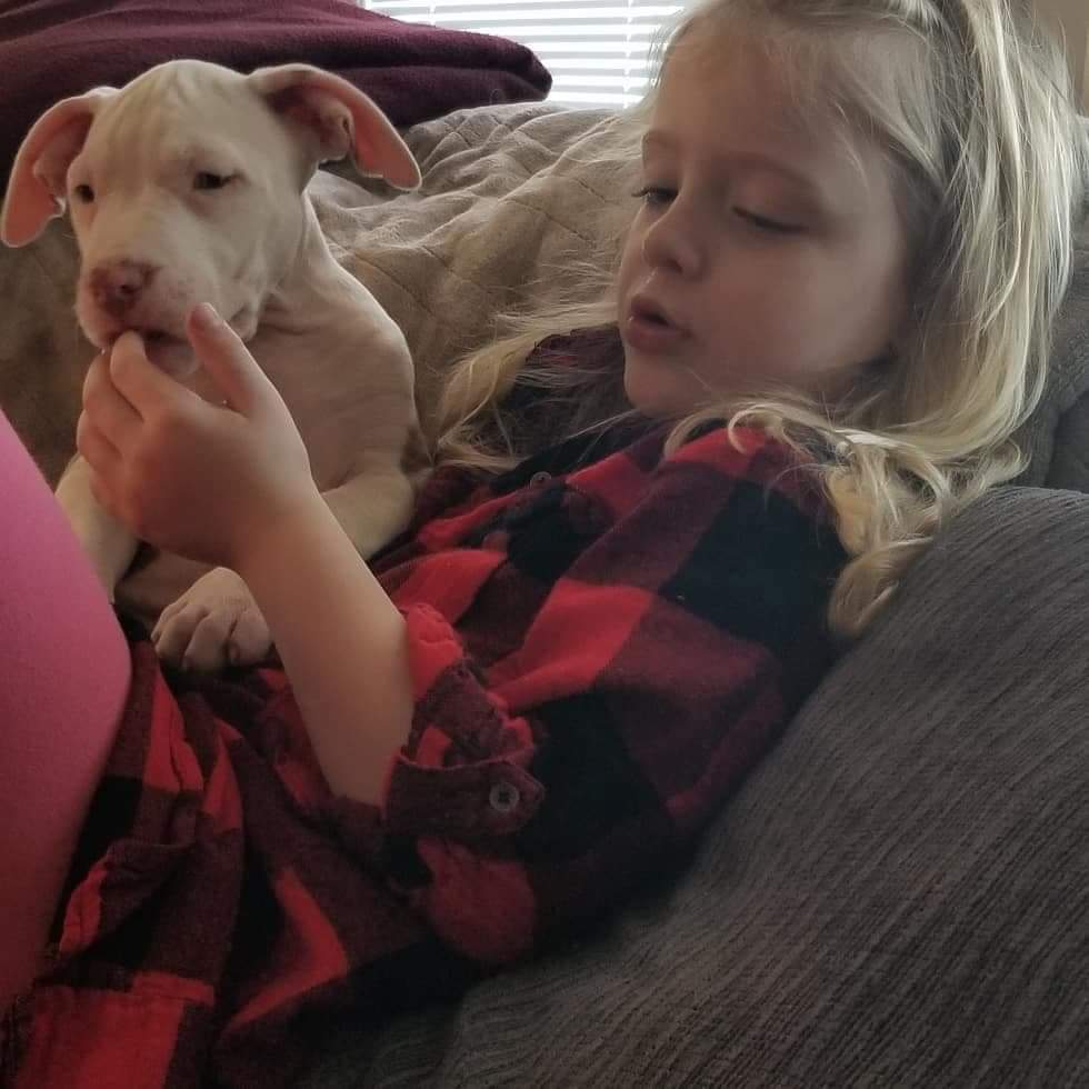 Dan and Kim’s daughter plays with Frankie as a puppy.
