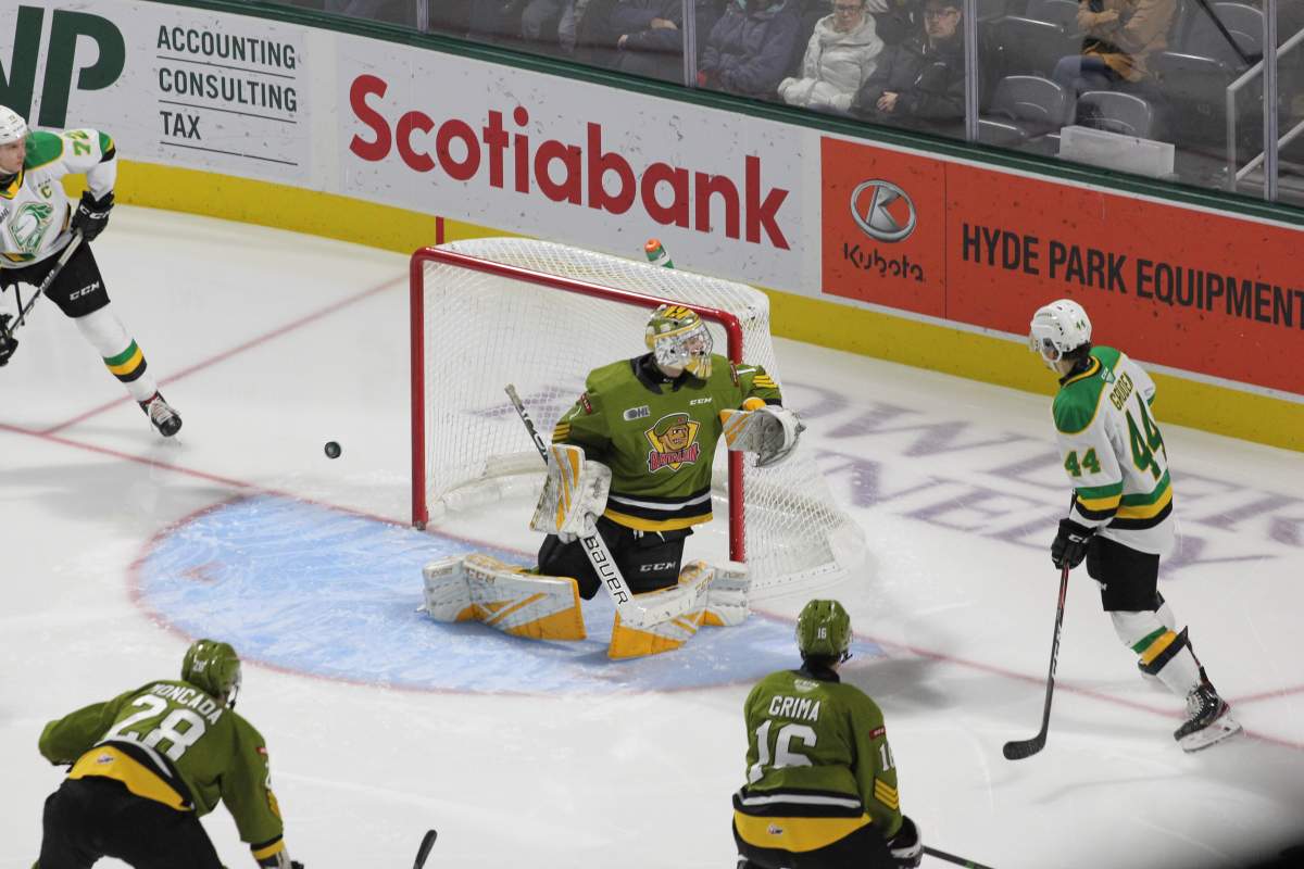 Connor McMichael has another big night as London beats North Bay - image