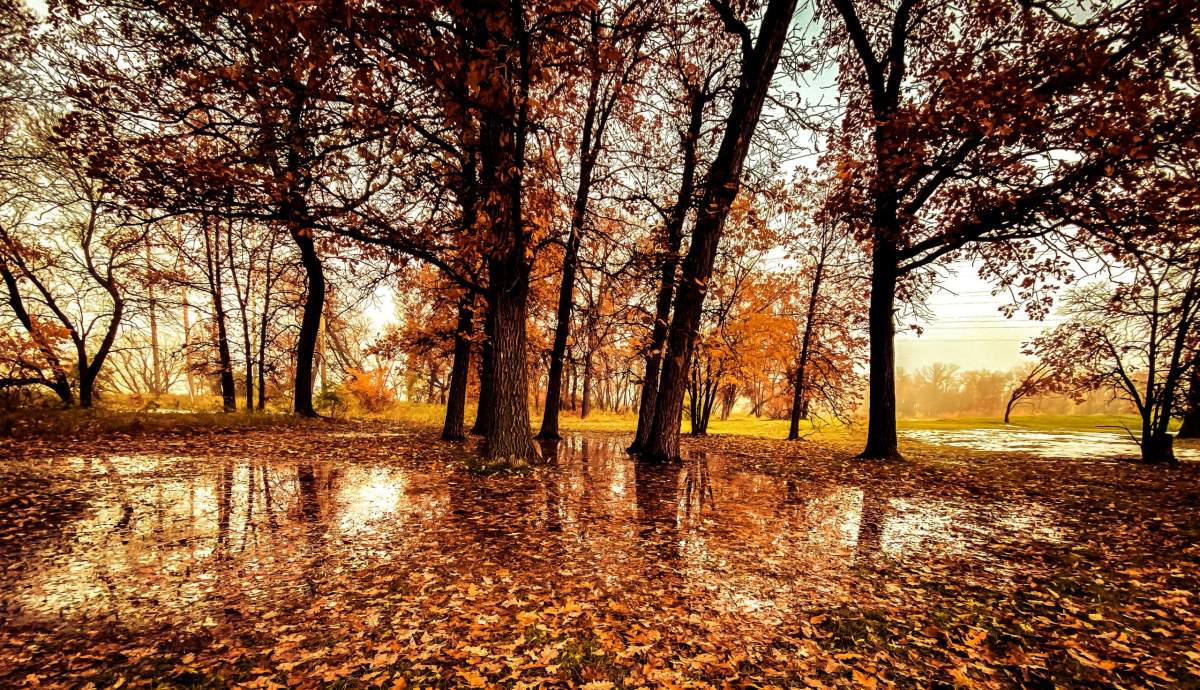East St. Paul, Manitoba.