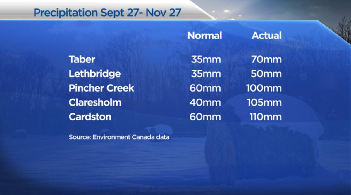 Some Southern Alberta crops could benefit from fall snowstorms come spring: scientist - image