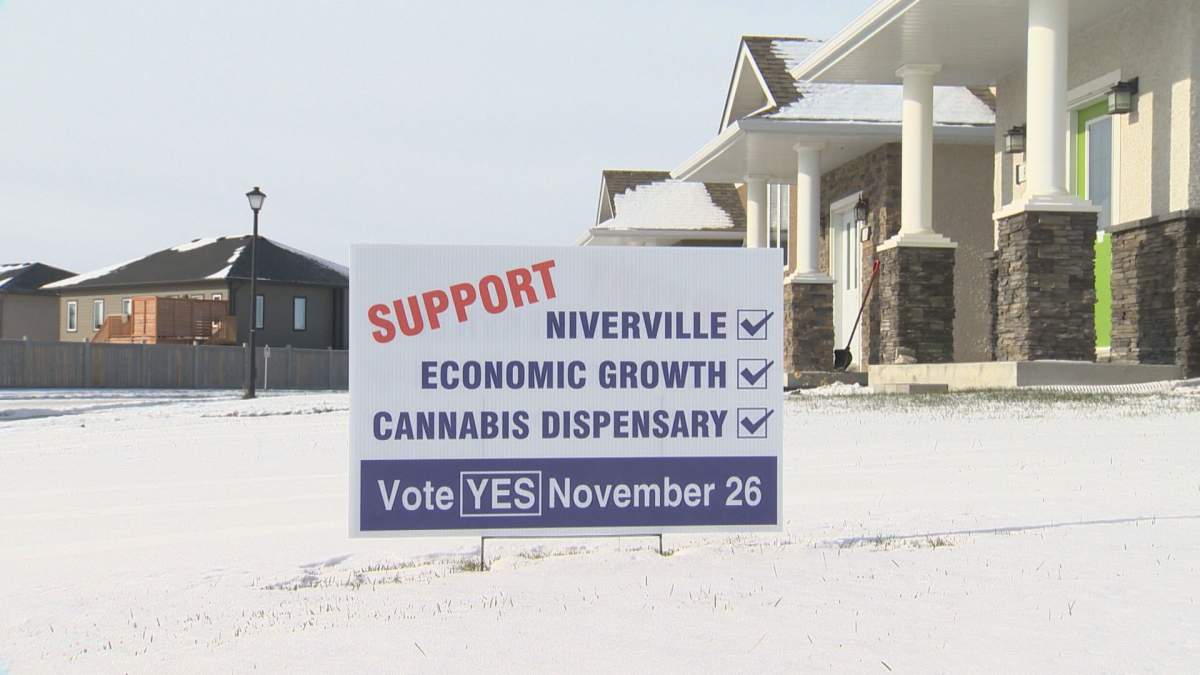 Niverville residents have been campaigning ahead of a retail cannabis plebiscite in the community on Nov. 26.