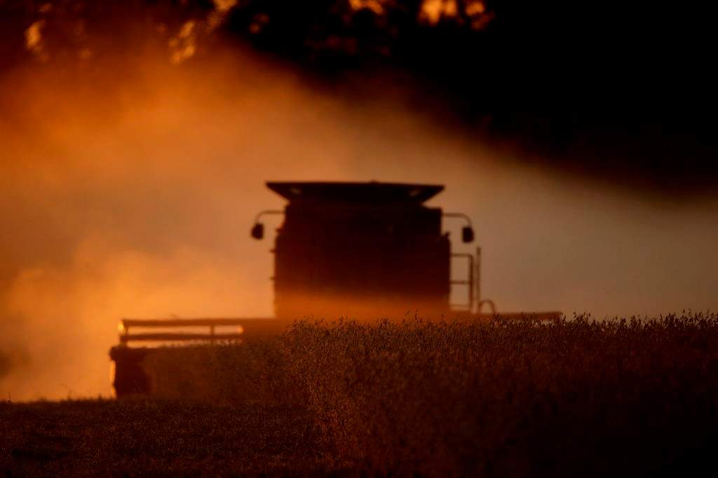 Saskatchewan Agriculture says four per cent of the 2020 crop is harvested as SaskPower urges farmers to exercise caution around overhead power lines.
