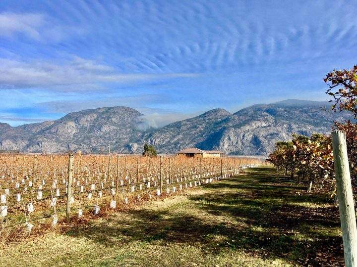 Smoke seen from east of Osoyoos just after 10:30 Sunday morning.