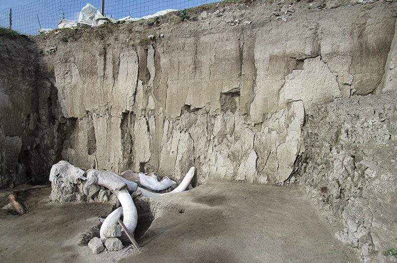 A mammoth skull is shown at the bottom of a human-made trap from 15,000 years ago, in Tultepec, Mexico.