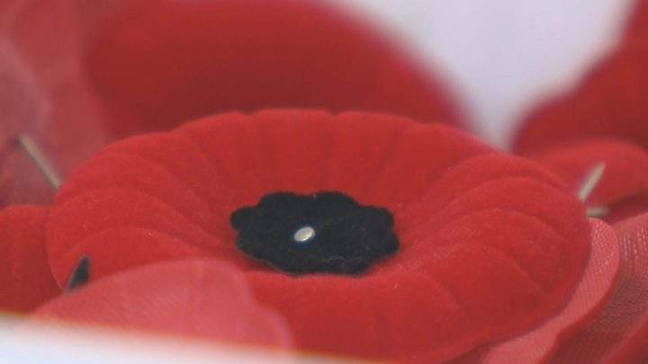 A poppy rests in a Royal Canadian Legion donation box.