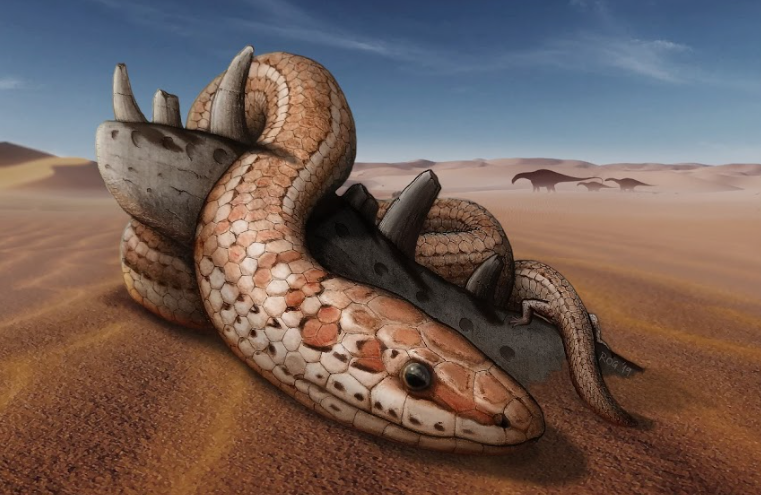A discovery involving an international team of scientists, including from the University of Alberta, has shed light on the evolution of snakes.