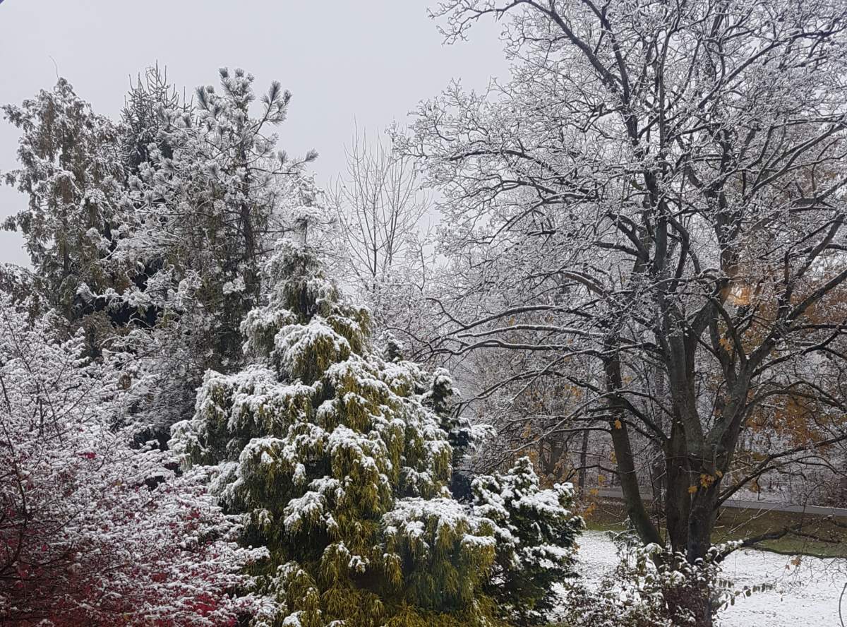 Environment Canada says Hamilton and area could see as much as 30 cm of snow on Monday.