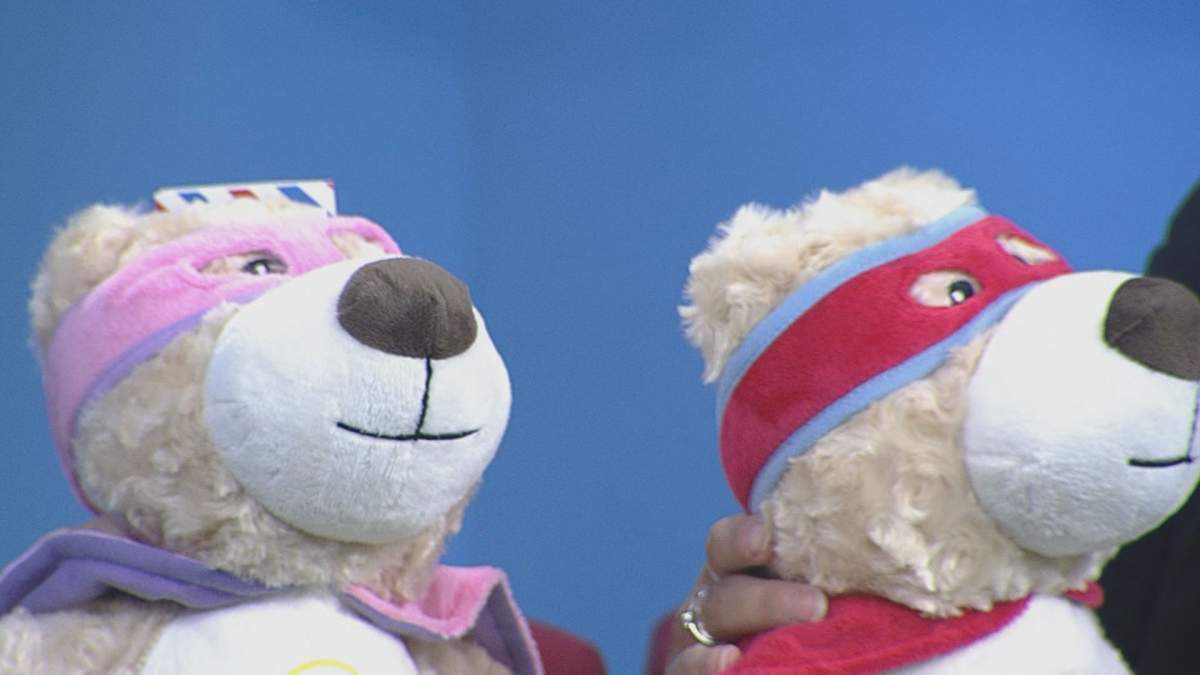 These bears can be adopted from Jack’s Animal Rescue to help support the shelter.