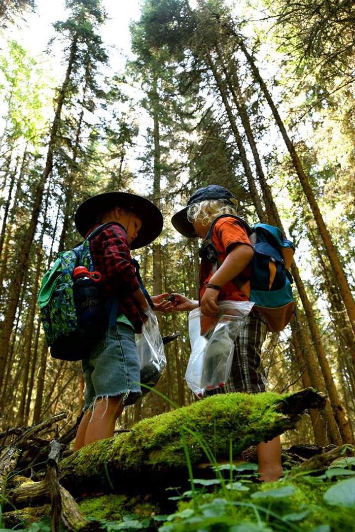 Photographer Nichole Huck took this image at Turtle Lake.