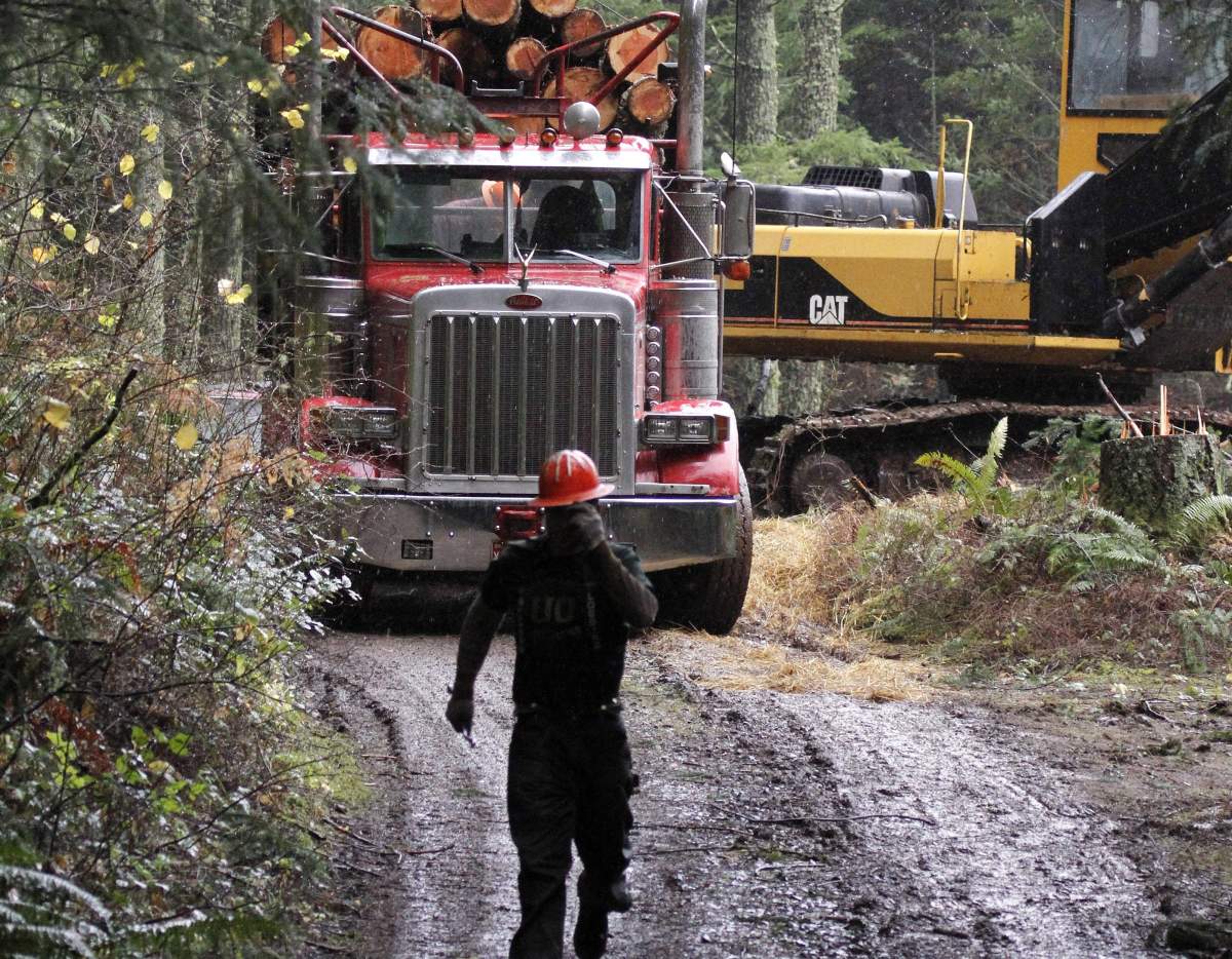 B.C. Labour Minister Harry Bains says h e will meet "immediately" with both sides in the labour dispute as the bitter strike closes in on six months. 