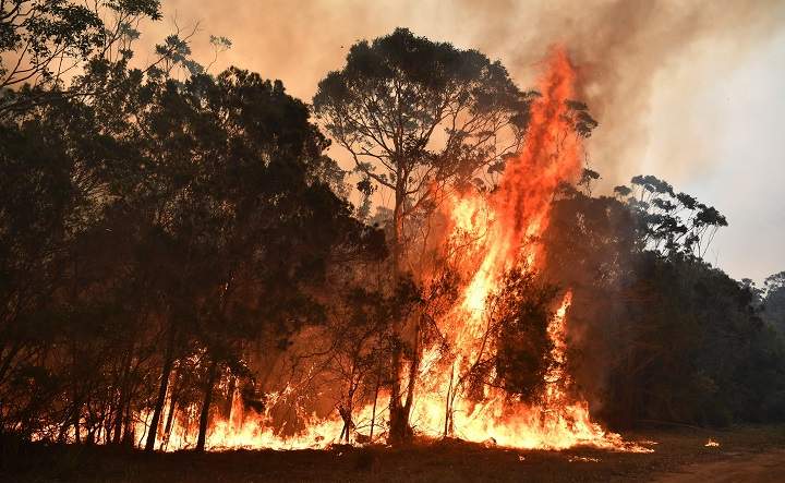 A fire spreads in a bushland near Kioloa, New South Wales, Australia, Dec. 3, 2019.