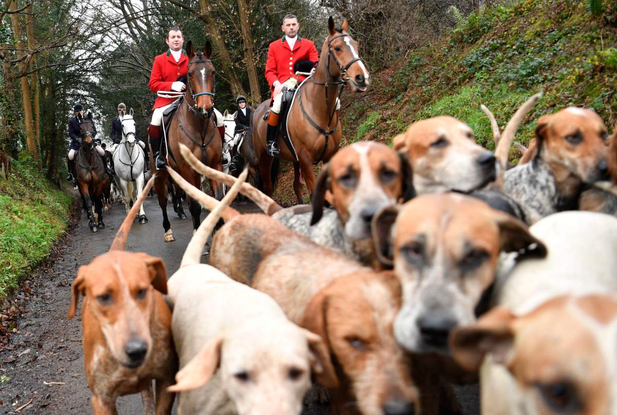 Participants in the Old Surrey and West Kent Boxing Day Hunt in Chiddingstone, Britain, Dec. 26, 2019.