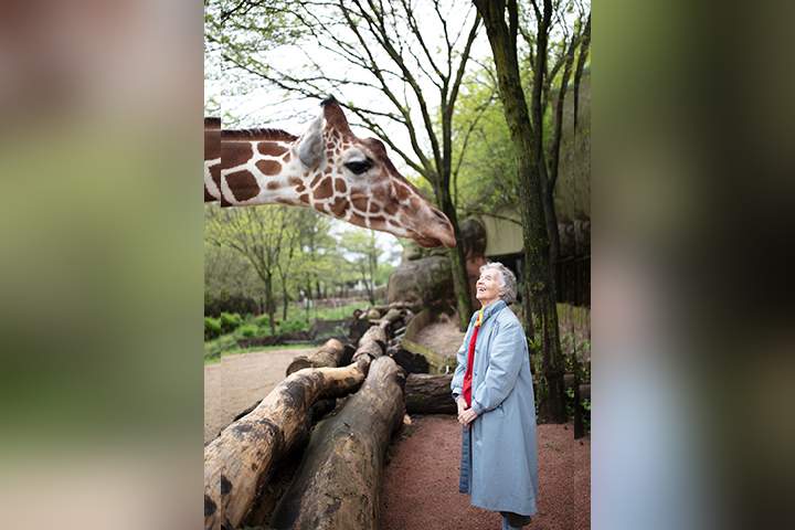 Anne Dagg as seen at the Brookfield Zoo in Chicago in “The Woman Who Loves Giraffes.”