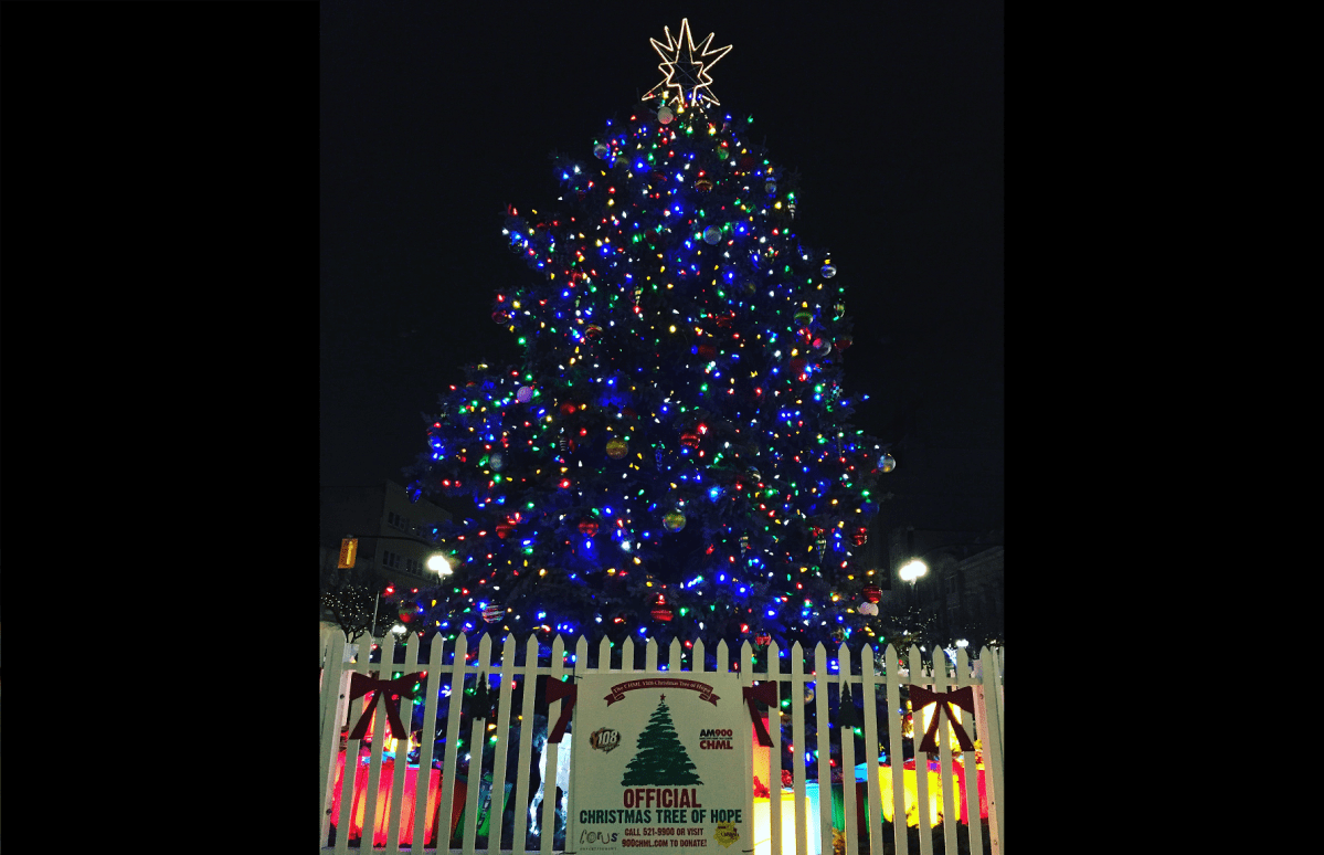The annual lighting of the Christmas Tree of Hope in downtown Hamilton is a tradition that dates back to 1976.