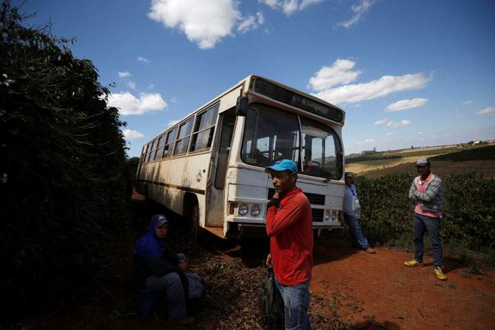 Workers are seen in a coffee farm during a labour ministry operation to identify workers in conditions analogous to slavery, in Campos Altos, Minas Gerais State, Brazil August 12, 2019.