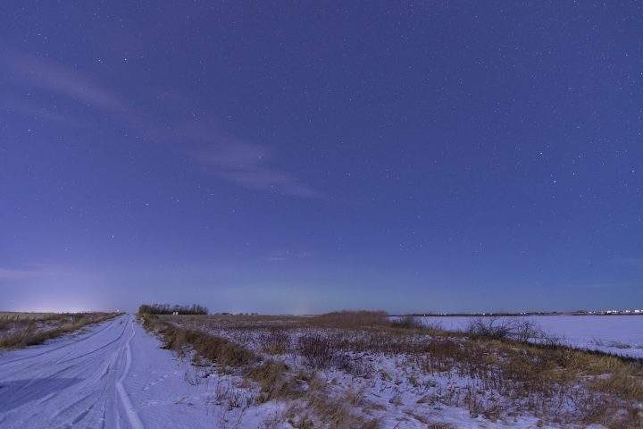 Colin Chatfield said the Saskatoon Freeway will destroy the Northeast Swale and the wildlife in it.
