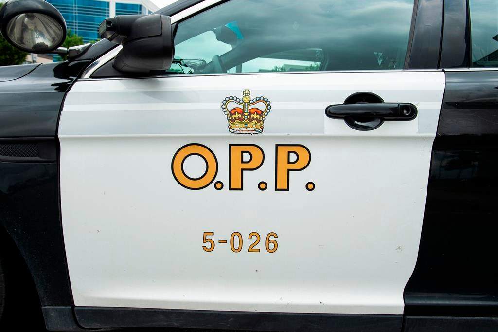 Officers were called to investigate after the two suspects were allegedly seen carrying flashlights and going through cars in the area of Dunn Court.