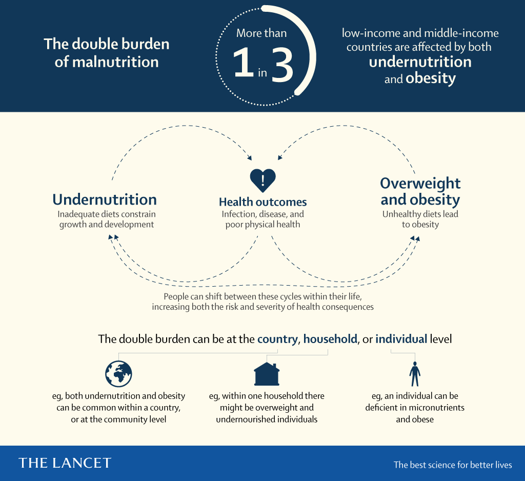 A chart explaining the “double burden of malnutrition.”