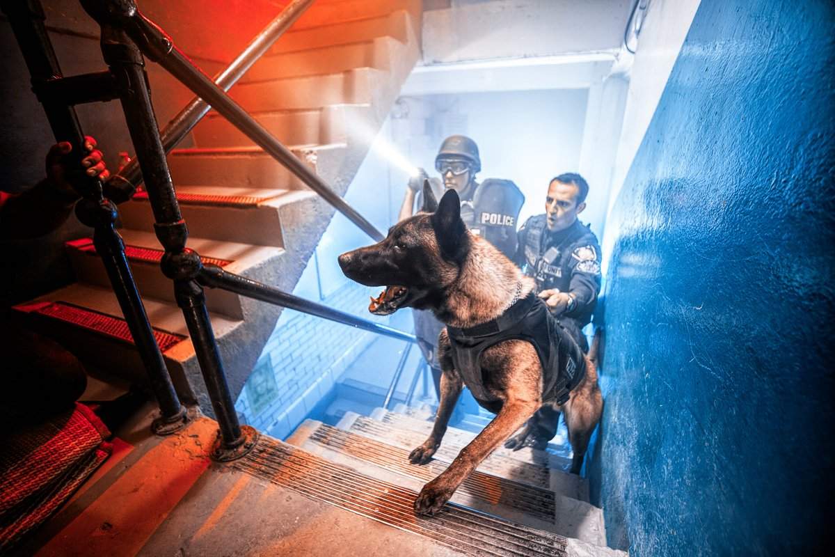 Banner the dog with his handler and members of the WPS. 