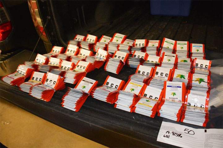 510 pounds of cannabis seized in Saskatoon drug trafficking bust