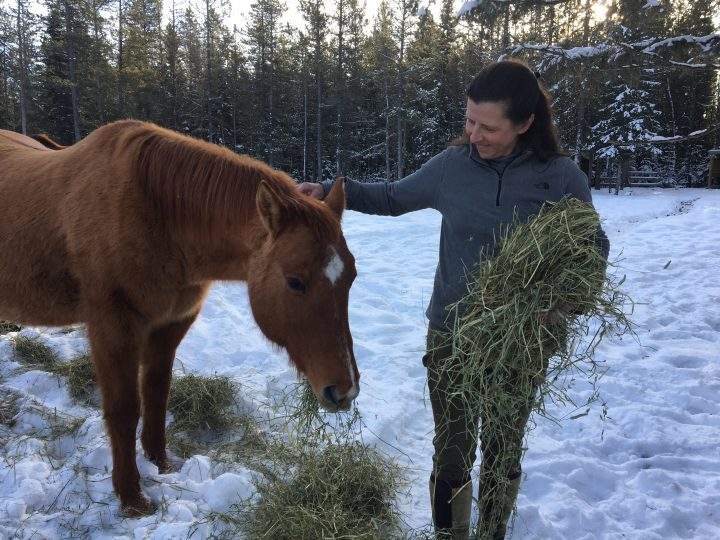 Sandie Hucal, founder of the Free Spirit Sanctuary near Cochrane, pets a rescue horse on Sunday, Dec. 29, 2019.