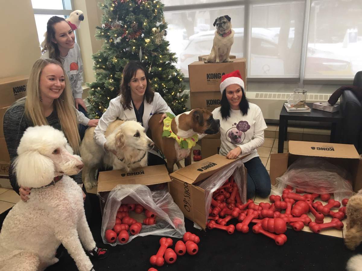 Hundreds of new KONG toys were dropped off at a Calgary vet clinic to support animals fighting cancer.