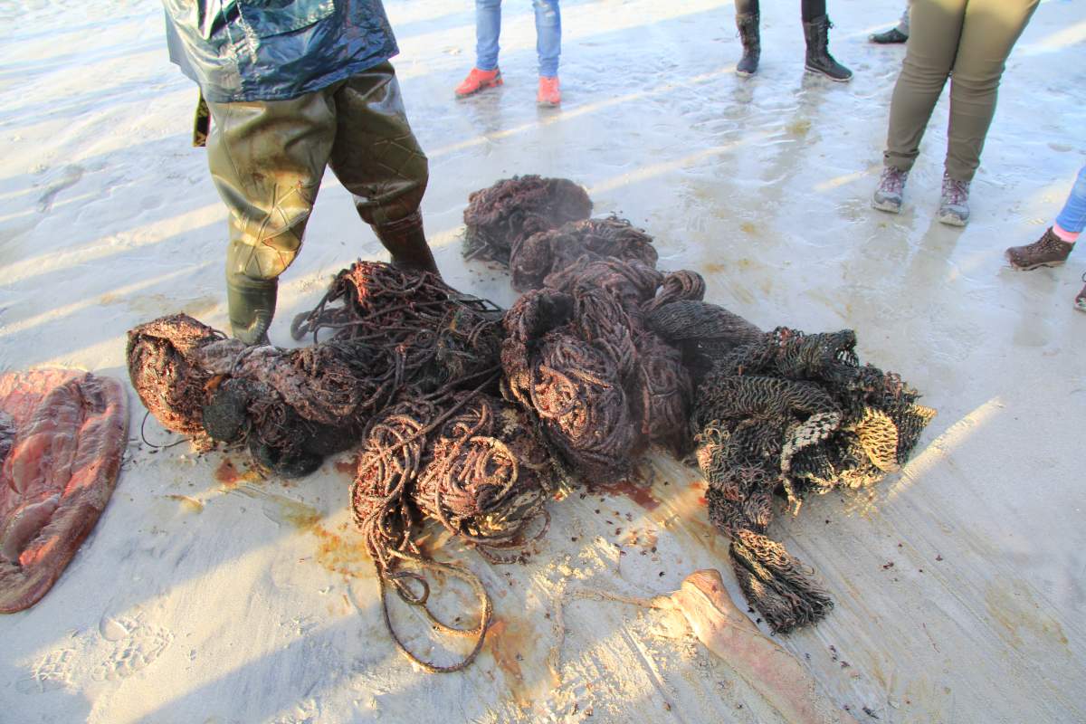 Some of the trash pulled from the whale’s stomach.