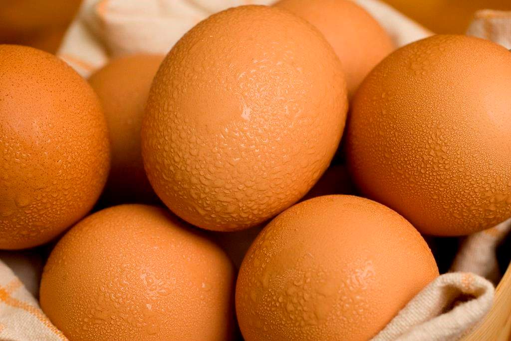 The governments of Canada and Manitoba announced $1.5 million in funding for egg research at the University of Manitoba Friday.