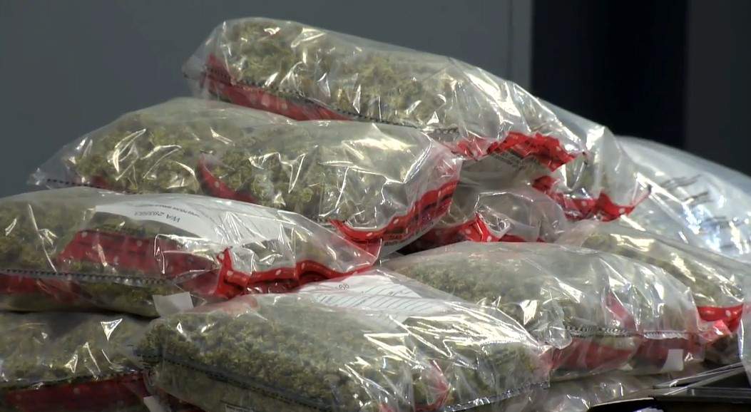 Police found 45 lbs. of illicit pot as well as edibles in the raids.