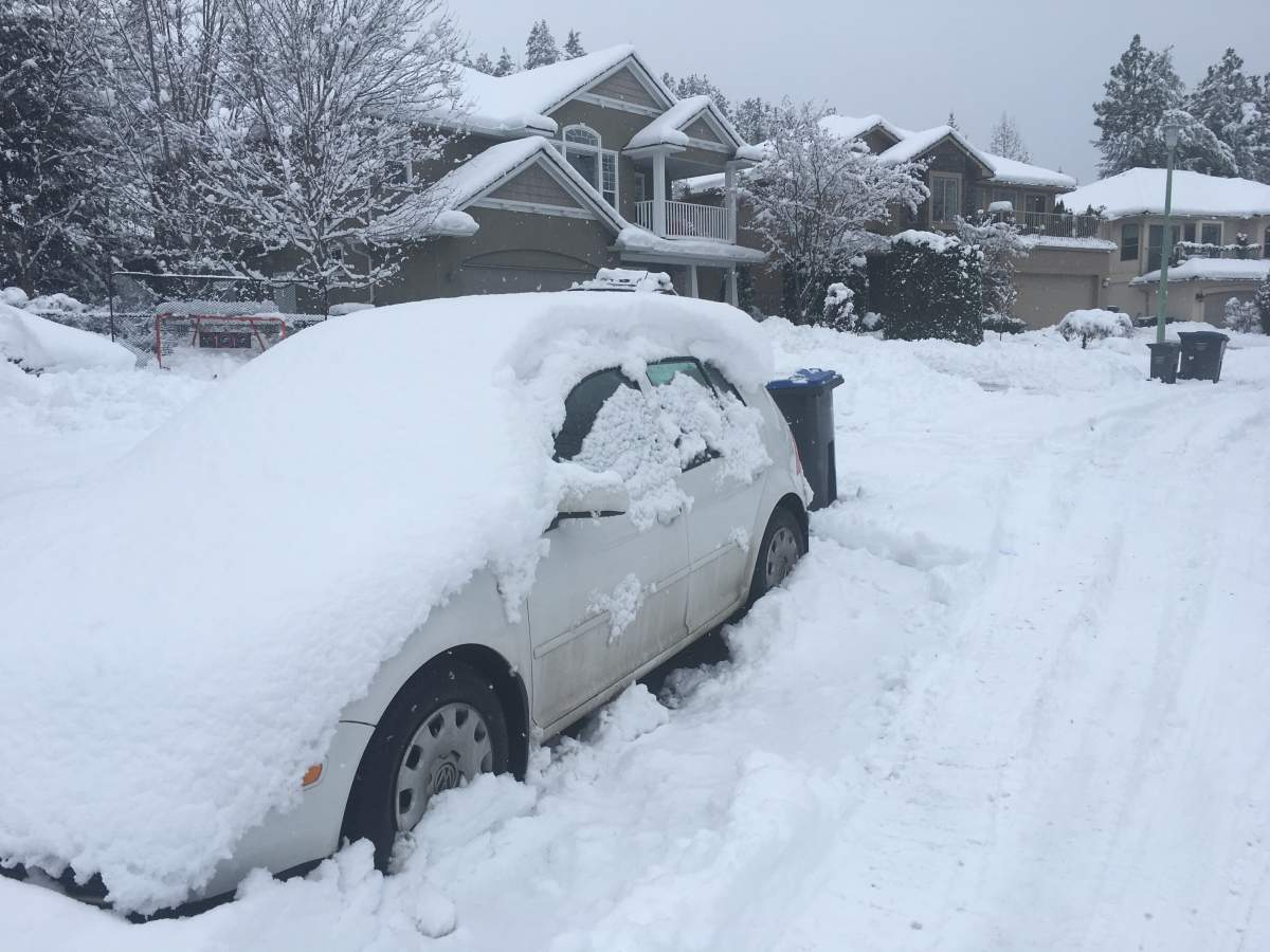 This is what Kelowna's Dilworth Mountain looked like Tuesday morning after a substantial, overnight snowfall. 