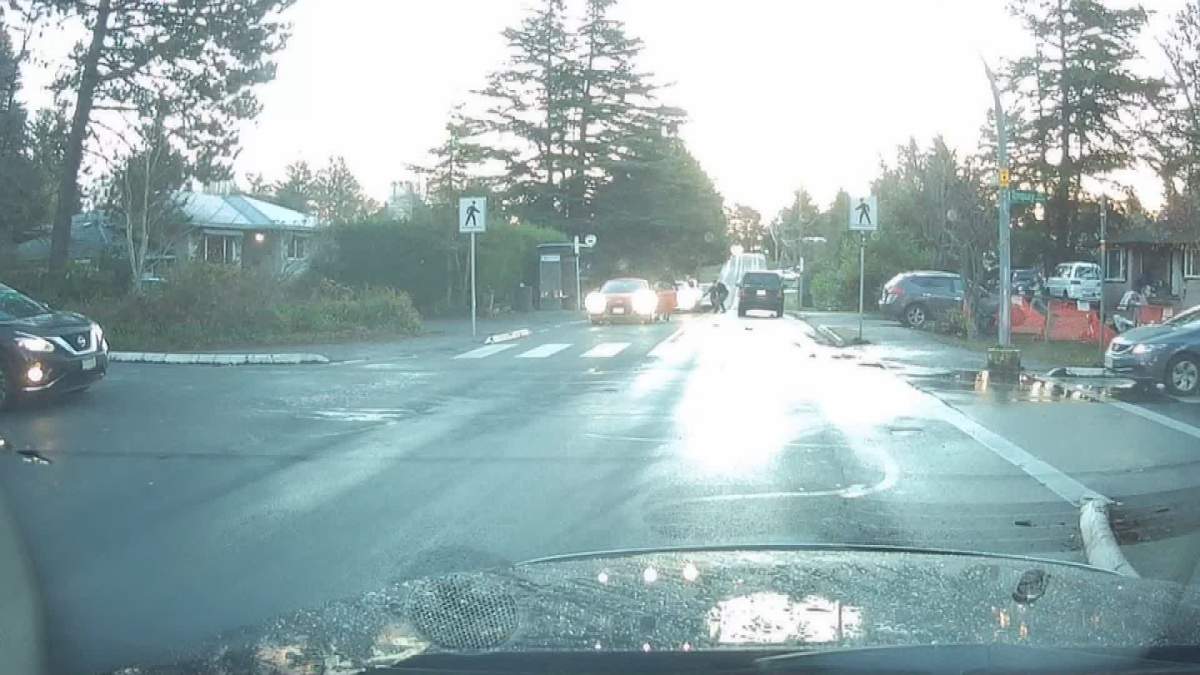 Dash cam video shows the aftermath of a collision that left 11-year-old Leila Bui with serious brain damage. 