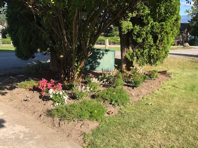 A West Kelowna couple said BC Hydro removed two cedar trees near their home on Derrickson Place with little notice. 