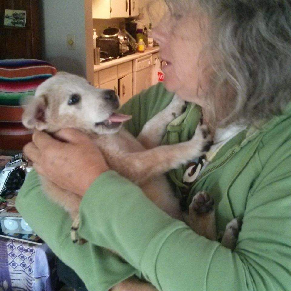 Susan Santics had Punky since he was a puppy.