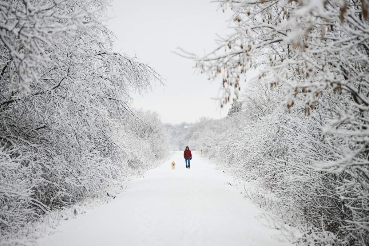 A person walks their dog along the Ottawa Valley Rail Trail in Mississippi Mills, Ont., on Tuesday, Dec. 31, 2019.