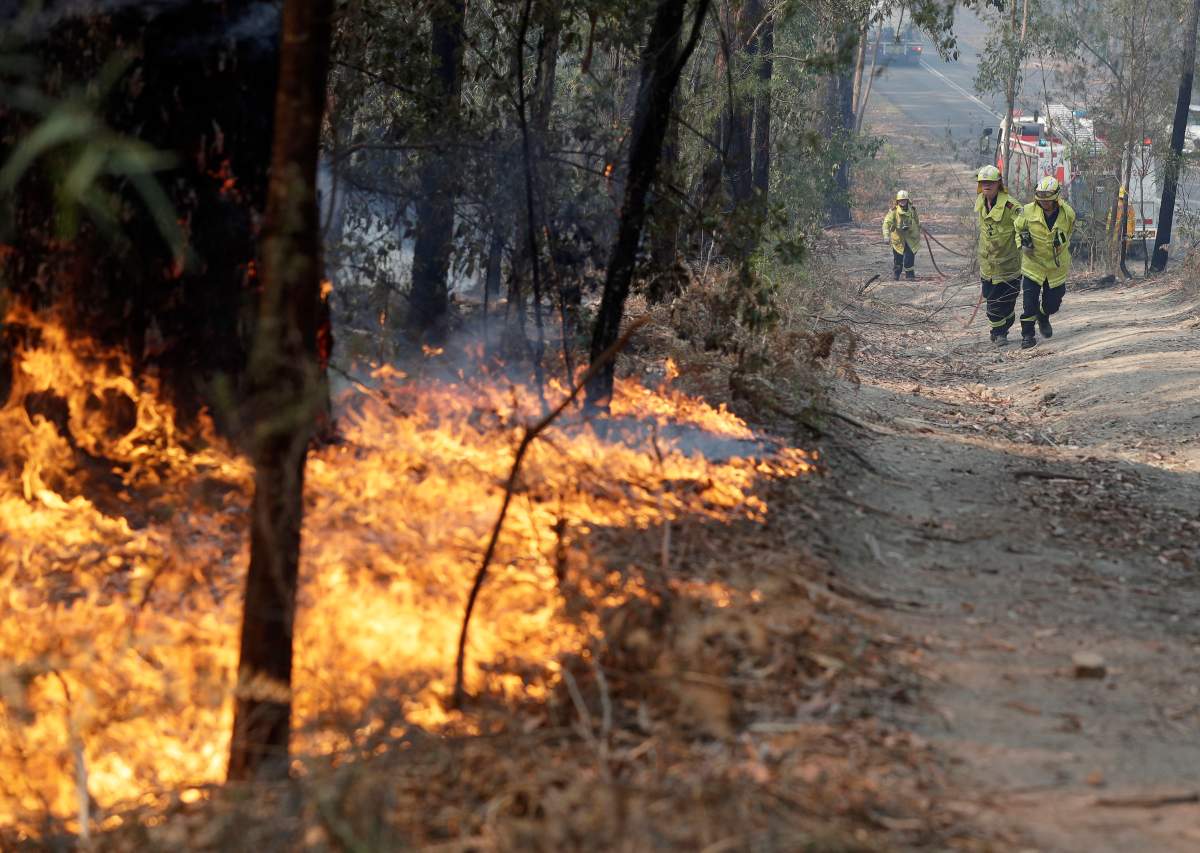 Firefighters drag a hose to battle a fire near Bendalong, Australia, Friday, Jan. 3, 2020.