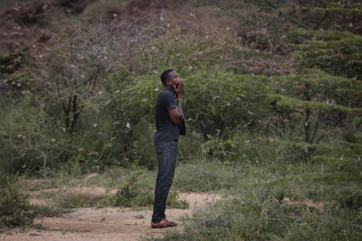 Theophilus Mwendwa reacts as he pauses to take rest from chasing away a swarm of desert locusts in the bush near Enziu, Kitui County, some 200km east of the capital Nairobi, Kenya, 24 Jan. 24, 2020.