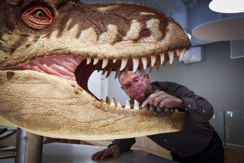 Craig Scott, Director of Preservation and Research at the Royal Tyrrell Museum of Palaeontology, checks out a hands on exhibit in the new Learning Lounge at the museum in Drumheller, Alta., Thursday, Jan. 16, 2020. 